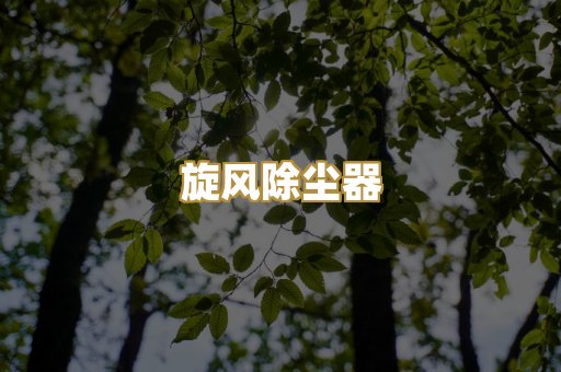 旋风除尘器
